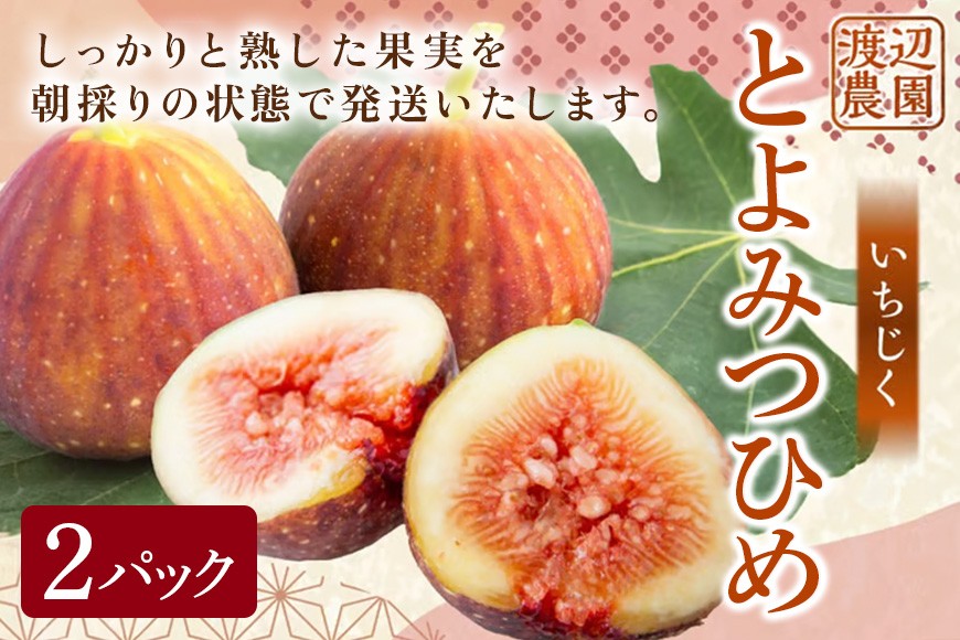 
                  【ふるさと納税】【先行予約】いちじく とよみつひめ 2パック イチジク 無花果 フルーツ 果物 果実 くだもの 国産 甘い 旬 秋の味覚 ギフト 贈り物 家庭用 プレゼント 冷蔵 送料無料 福岡 返礼品 うきは市 渡辺農園【2026年8月上旬～9月中旬より順次発送予定】
                
