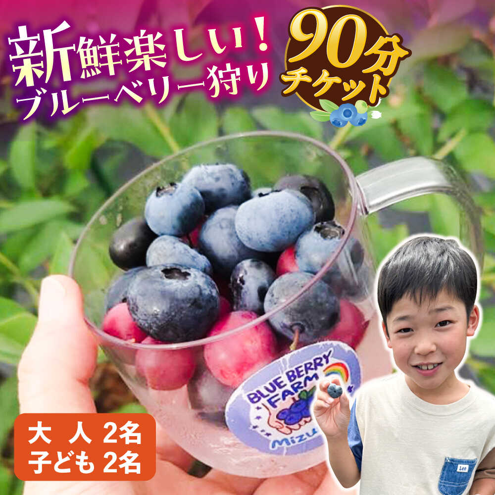 【ふるさと納税】ブルーベリーファーム瑞浪 ブルーベリー狩り 90分 大人(中学生以上)2名様 ・ 子ども(小学生)2名様 チケット[AZCX003]
