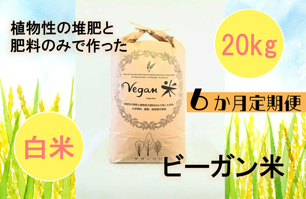 CQ031_【6か月定期便】ビーガン米20kg　白米【植物性で育てた完全無農薬のサガンベジブランド】／みやき町