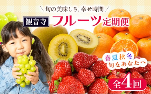 
                  フルーツ 定期便 全4回 香川県産 讃岐 さぬきひめ 国産 いちご 苺 約1kg ハウスシャインマスカット 約600g さぬきゴールドキウイ キウイ 約1.5kg 温州みかん みかん 約3kg ぶどう 柑橘 冷蔵配送 常温配送 シャインマスカット マスカット 香川県 観音寺市
                