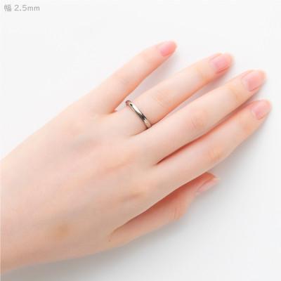 ふるさと納税 弥彦村 純チタン甲丸リング(幅2.5mm)8号 |  | 02