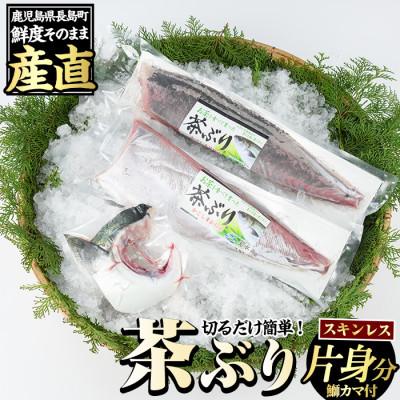 ふるさと納税 長島町 ブリカマ付!茶ぶり スキンレスロイン(片身分・2分の1カット済) 【ウスイ】 usui-7319R8