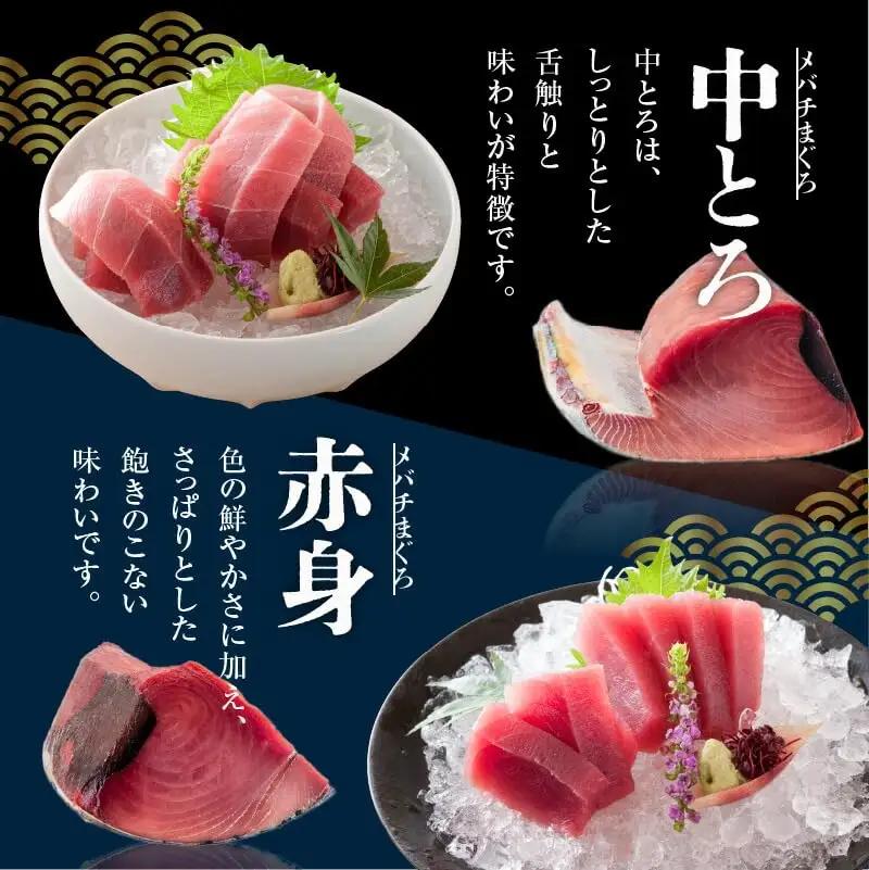 【至福のひと時】 天然 目鉢まぐろ 1kg（ 大トロ 200g、 中トロ 400g、 赤身 400g） M020-026-01 冷凍 マグロ 【 まぐろ専門の卸問屋です 】