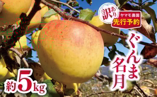 *【2025年先行予約】 訳ありぐんま名月 約5kg | ヤマモ農園 果物 フルーツ 訳あり りんご リンゴ 林檎 ぐんま名月 訳あり 長野県 松川村 信州