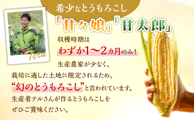  【6月下旬頃より順次発送】とうもろこし 先行予約 甘々娘 または 甘太郎 3本 テルもろこし 個包装 レンジ調理 レンチン 野菜 夏 旬 冷蔵 冷蔵配送 静岡 浜松市【配送不可：離島】