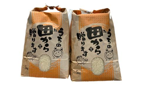 『定期便』令和5年産米 至福のはえぬき（精米）5kg×2袋 全6回 米 お米 おこめ 山形県 新庄市 F3S-1607