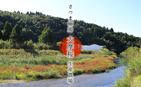 085-06 「さつま極鶏大摩桜」鶏刺しバラエティーセット