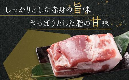 オリーブ豚　バラブロック2000g | 国産 オリーブ豚 豚バラ バラブロック ブロック 豚肉 肉 お肉 人気 国産 オリーブ豚 ブロック肉