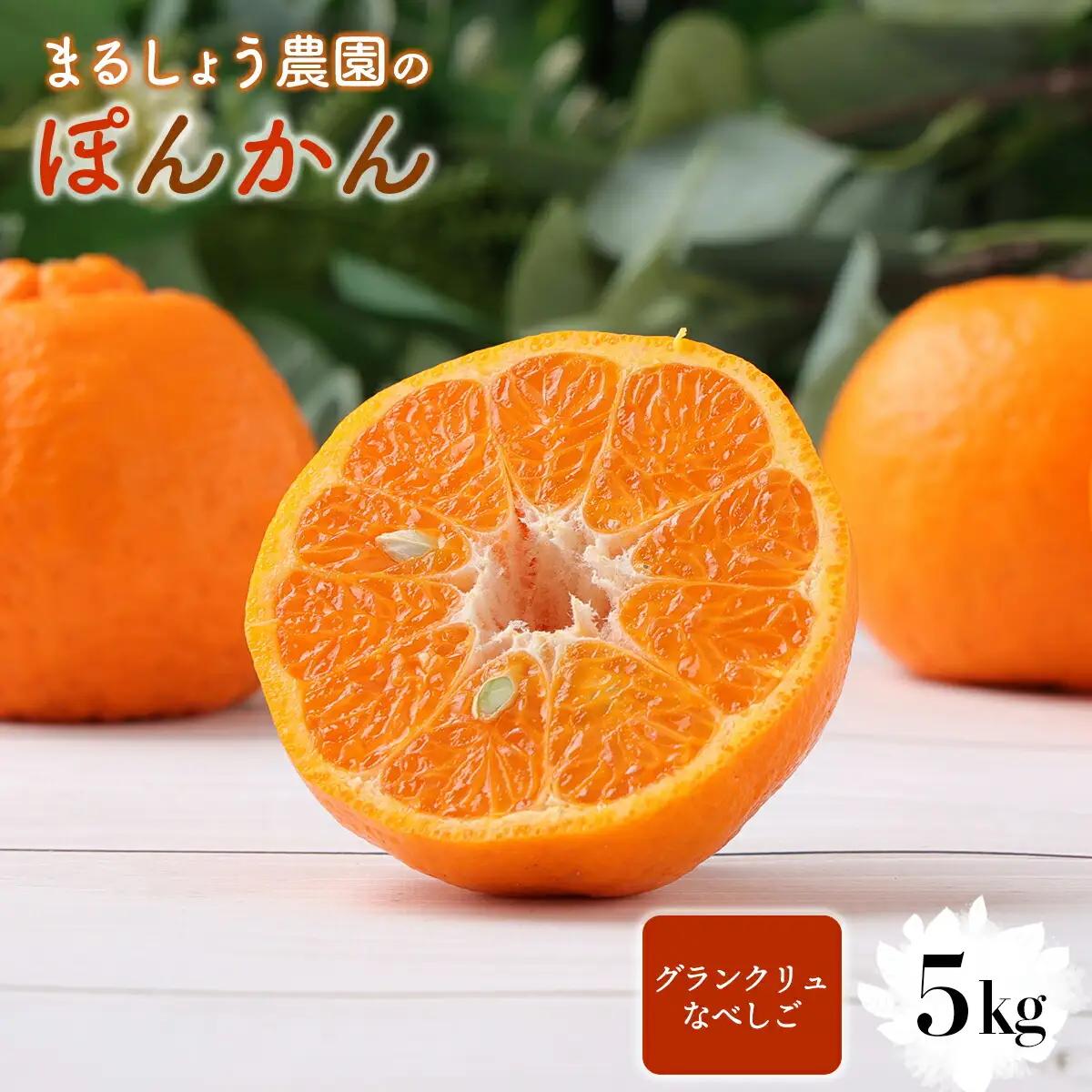 ＜先行予約＞ぽんかん【グランクリュなべしご】 5・　MS3 [MS-03] 【まるしょう農園】
