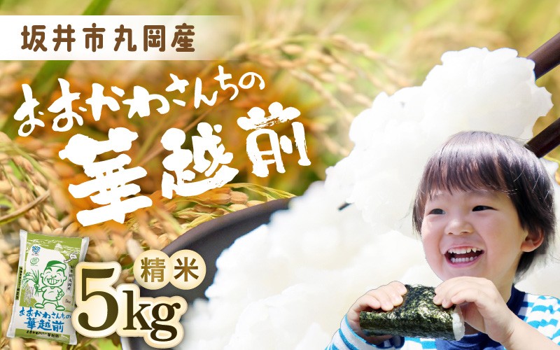 
                  【令和7年産】 おおかわさんちの華越前 5kg 【お米 こめ ハナエチゼン 5キロ 白米 精米 ご飯 ごはん 美味しい ふるさと納税米】 [A-10813]
                