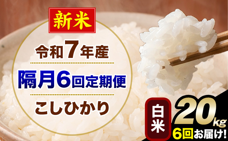 新米 令和7年産 【隔月6回定期便】 こしひかり 20kg 白米 精米 熊本県産(南阿蘇村産含む) 単一原料米 南阿蘇村 産 米 定期便《お申込月の翌月から出荷開始》---kh7tei_291000_20kg_ev2mo6_mna_h---