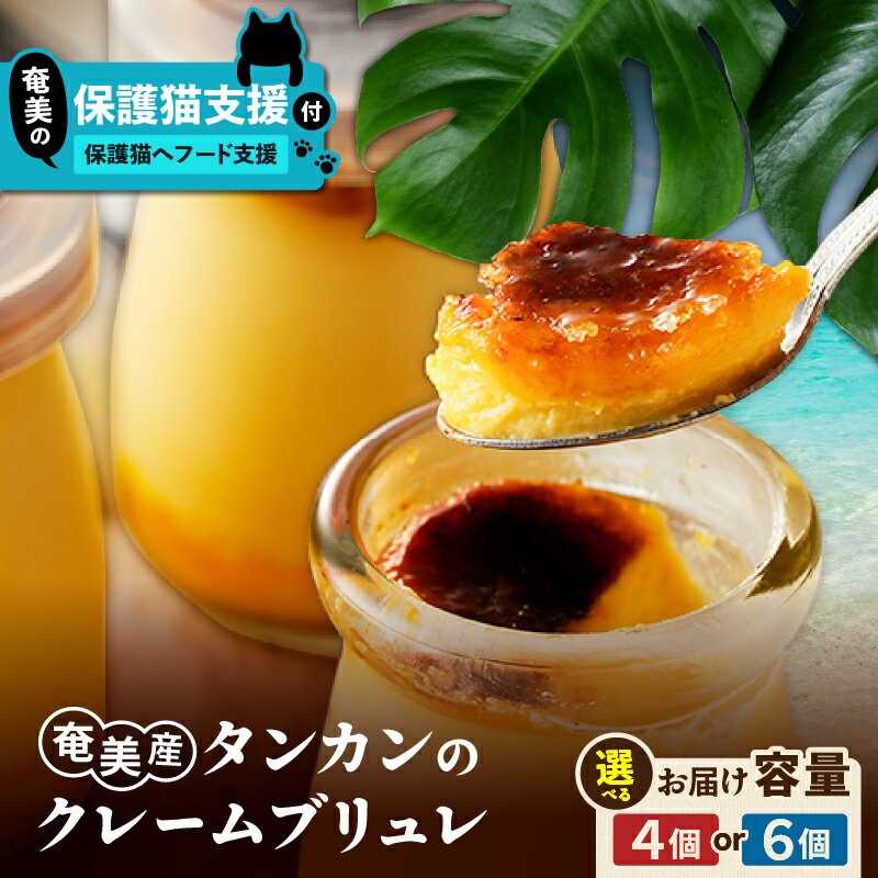 【ふるさと納税】＜選べる＞【奄美の保護猫支援 保護猫フード 10日分】＋ 奄美産 タンカン の クレームブリュレ 4個 or 6個 菓子 スイーツ デザート 柑橘 フルーツ 果物 カラメル 保護猫 猫 支援 フード cafeCOVOTANA 鹿児島 奄美市 おすすめ ランキング プレゼント ギフ