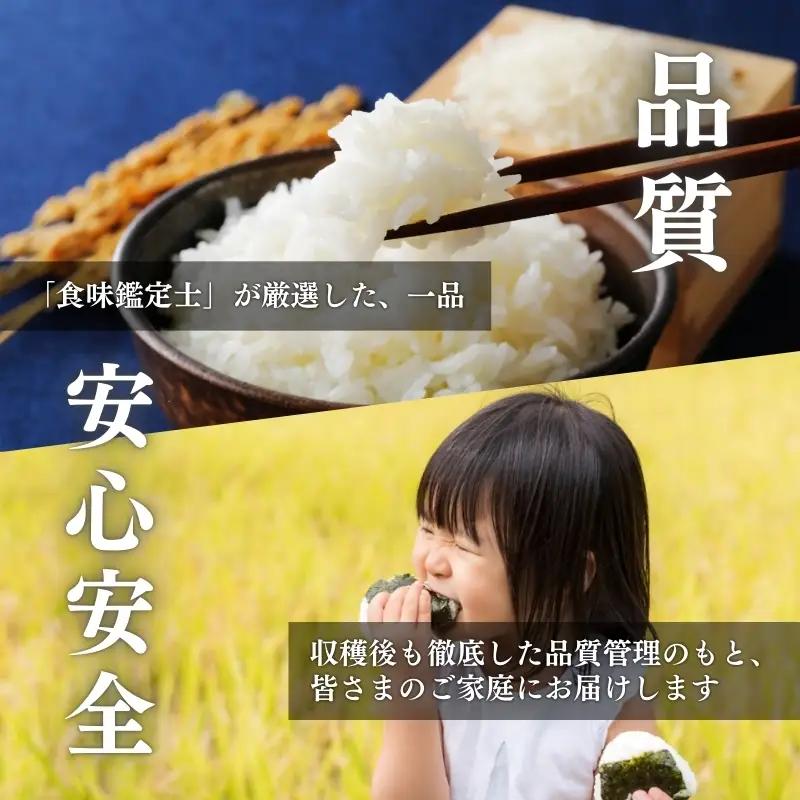 令和7年産 食味鑑定士厳選 新潟県上越柿崎区厳選 こしひかり 無洗米 30kg 6か月定期便 上越市 精米 米 コメ コシヒカリ ブランド米