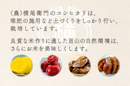 C-1107 【定期便】横尾衛門のコシヒカリ 白米 5kg×6回コース