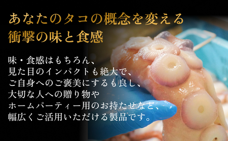 活タコ 炙り焼き 一本足 定期便 隔月 4回 タコ たこ 直火焼き おかず おつまみ 蛸 刺身