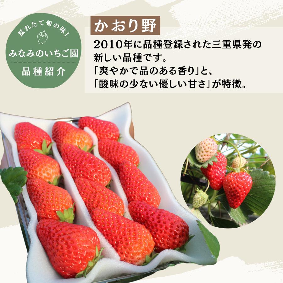 【先行予約＿2026年出荷分】 完熟いちご280g かおり野 2パック（DXパック） 【 かおり野 いちご 苺 イチゴ 果物 フルーツ くだもの 旬 伊豆 静岡県 期間限定 先行予約 】　