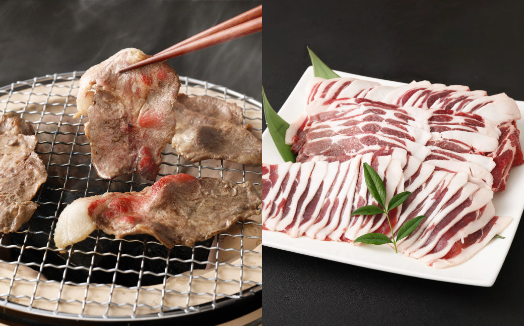 【4回定期便】徳之島 天城町産 イノシシ肉食べ比べ定期便 (計4.8kg)