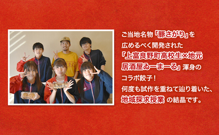 上富良野高校 コラボ開発「豚さがり餃子」 12個入り×5パック ( ご当地グルメ 餃子 中華 冷凍 食品 簡単 おかず 手作り 道産 上富良野町 北海道 )