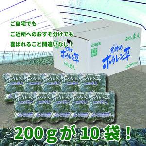 【先行予約/12月中旬以降発送】【北海道平取町産】寒締めホウレン草（ちぢみほうれん草）200g×10袋 BRTO003