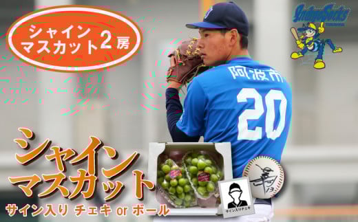 【サインボール】 先行予約 シャインマスカット 2房  徳島 インディゴソックス サイン入り ボール セット 野球 四国アイランドリーグ