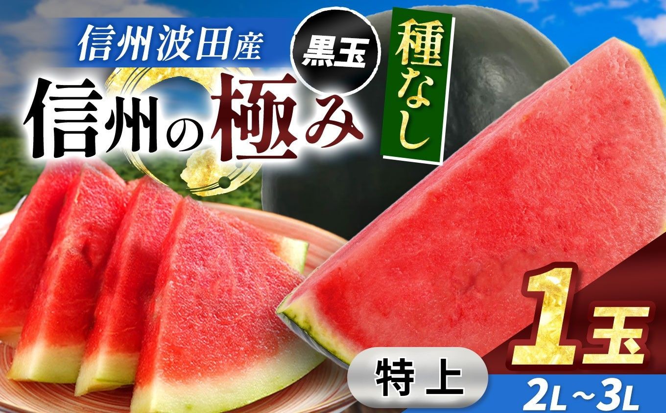 
            【先行受付：2026年7月発送】信州波田産 種無し黒玉スイカ！信州の極み 【特上】 2L～3Lサイズ 1玉｜ふるさと納税 長野県 信州 松本 果物 フルーツ すいか スイカ 西瓜 贈答 季節限定 甘い くだもの ふるーつ
          