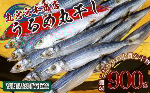 特上品 うるめ いわし 900g 干物 鰯 煮干し 真いわし 真鰯 稚魚 おやつ 乾物 魚介 加工品 ウルメ 丸宮 宮本 商店 土佐 海洋深層水 ミネラル 高知県 須崎市 MMY003-2x