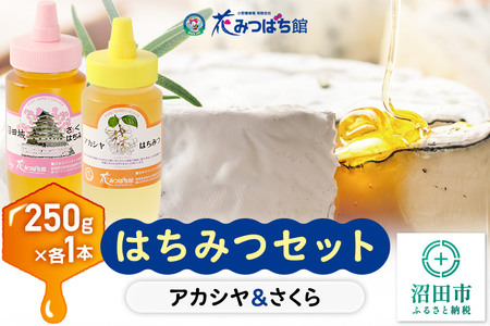 《満天☆青空レストラン紹介》 アカシヤ・沼田城さくらはちみつセット 各250g 花みつばち館