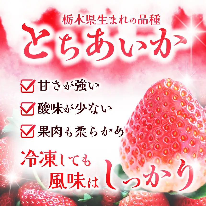 【定期便3回】冷凍いちご とちあいか 1kg カット済み 訳あり