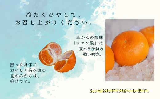 夏の暑い日、冷たく冷やしたみかんは絶品。みかんの「クエン酸」には夏バテを
予防する効果もあります。