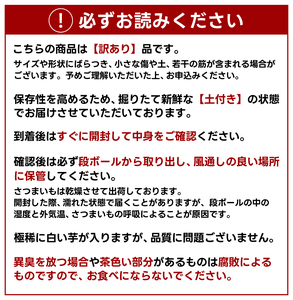 訳あり さつまいも 紅はるか 約10kg さつまいも