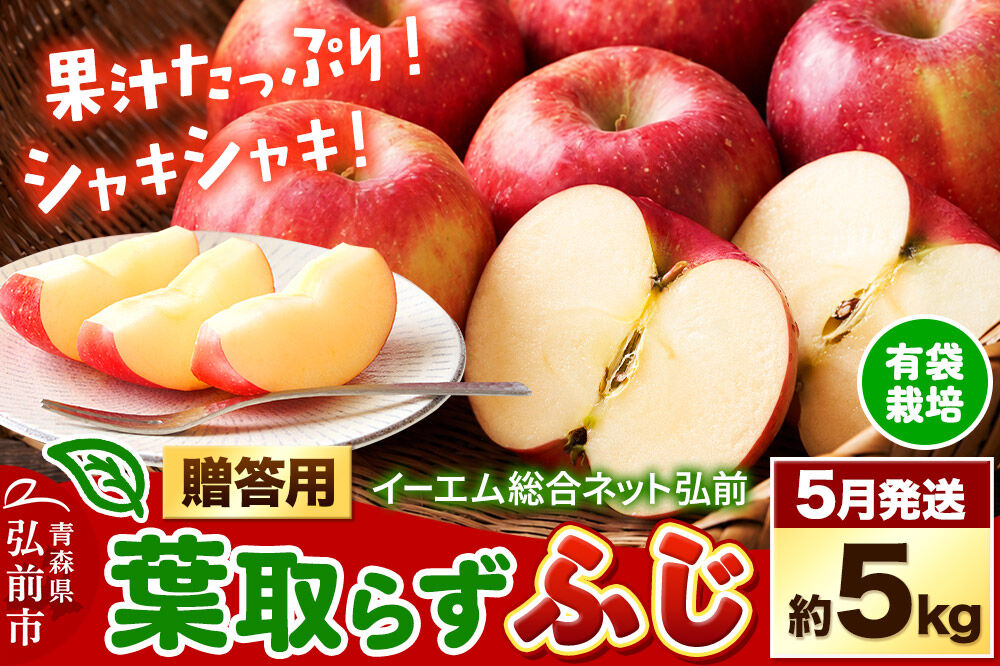 【27年5月クール便発送】りんご 葉取らず ふじ【贈答用】約5kg【有袋栽培・CA貯蔵】EMりんご 林檎 リンゴ 果物 くだもの フルーツ 先行受付 青森県 弘前市 贈り物 ギフト [先行予約 産地直