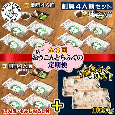 【2ヵ月毎定期便】活〆おうごんとらふぐ刺身4人前セット 3回目切身800g付 全3回【配送不可地域：離島】【4012359】