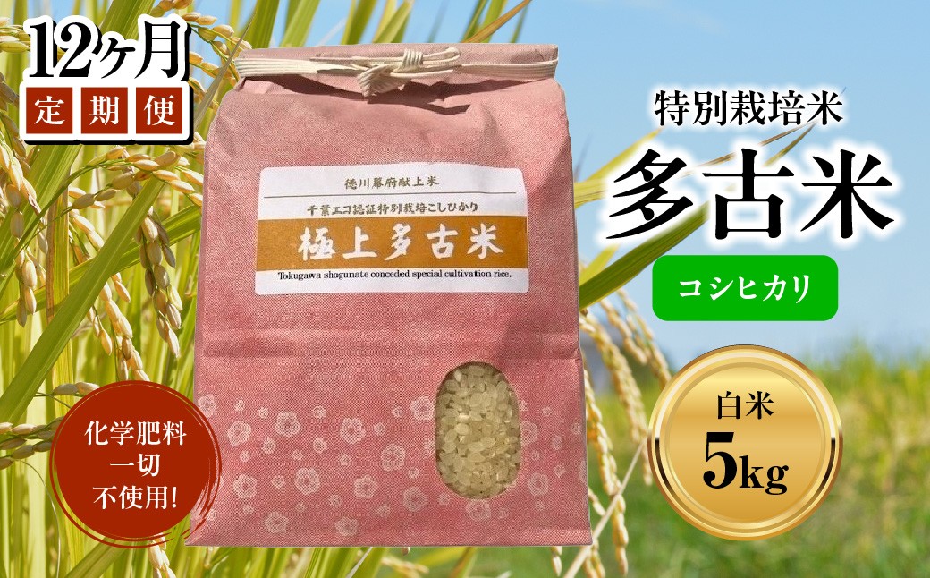 
                  【定期便】化学肥料一切不使用！特別栽培米多古米「コシヒカリ」白米5kgx12回     TAKJ006／ふるさと納税 多古米 コシヒカリ 白米 玄米 5㎏ 化学肥料不使用 定期便  千葉県産 多古町 送料無料
                