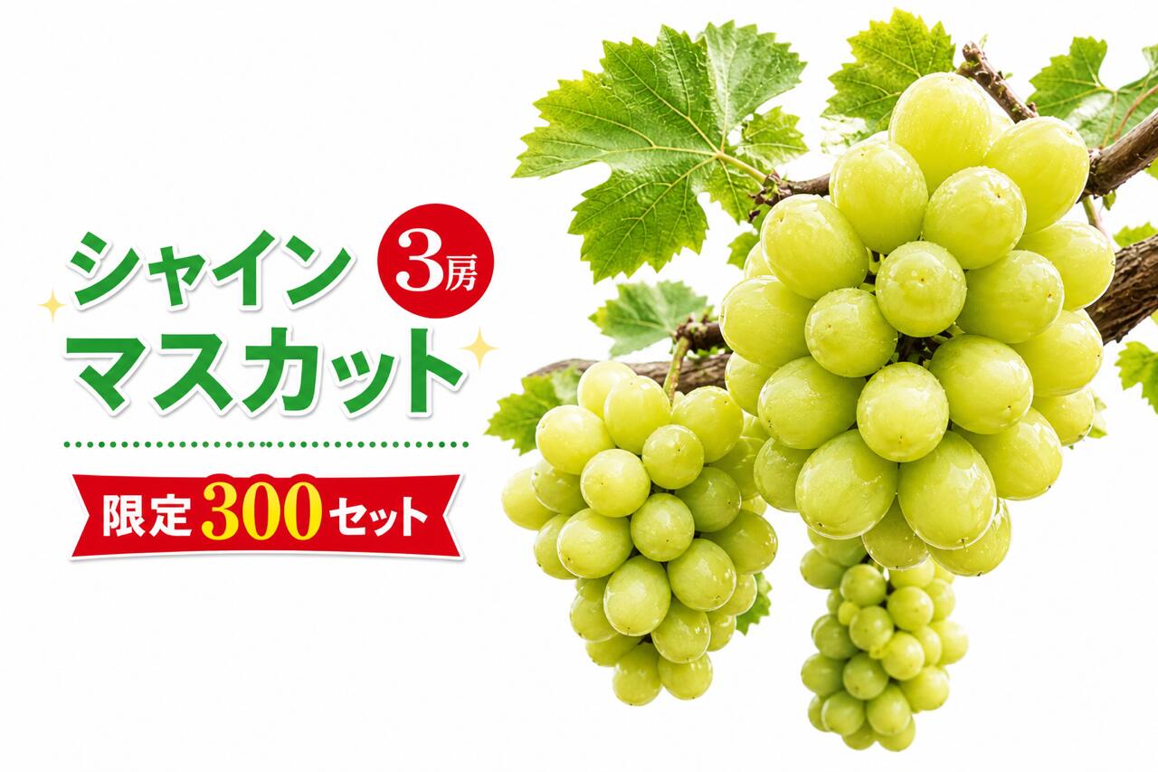 【ふるさと納税】 シャインマスカット 3房 優品 | ぶどう フルーツ ハウス栽培 | 送料無料 産地直送 岡山県産