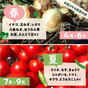 京丹後産・旬の野菜 5～8種詰め合わせ（小）（2024年1月中旬～発送）　 野菜セット／野菜詰め合わせ　少量　お試し