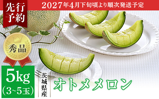 082-2 オトメメロン 秀品 3～5玉 約5kg 茨城県 JA水戸産