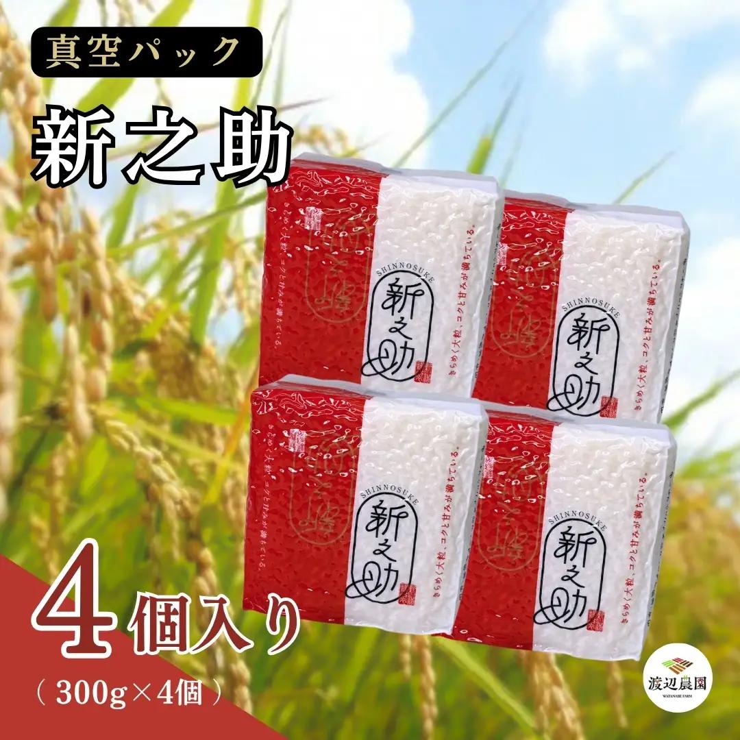 新之助 真空パック 300g×4個 精米 渡辺農園 | 新潟県 五泉市 新之助