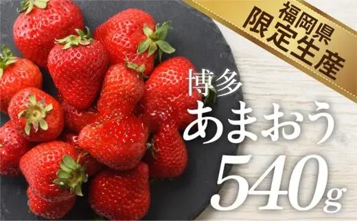 人気１位獲得謝礼品★限定品★博多あまおう約５４０g（先行受付／２０２７年２月以降発送）.ZH205【あまおう】