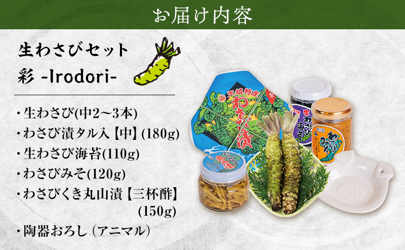 伊豆天城 丸山園 わさびセット 彩 セット 詰め合わせ わさび 山葵 ワサビ 生わさび おつまみ つまみ みそ 味噌 漬け物 漬物