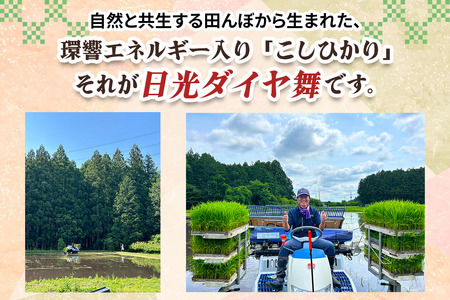 [数量限定／令和7年度米] こしひかり《日光ダイヤ舞／白米10kg》｜2025年度米 無農薬白米 有機栽培こしひかり JAS有機転換中 オーガニック コシヒカリ 精米 お米 ごはん 国産 産地直送 日