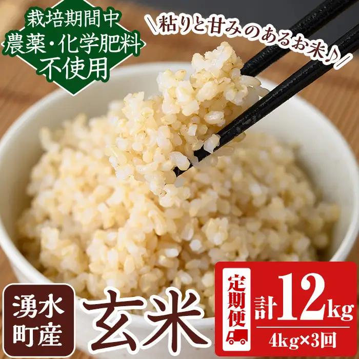 《定期便・全3回》《栽培期間中農薬化学肥料不使用》鹿児島県産 ヒノヒカリ 玄米計12kg（2kg×2袋×3回） 国産 九州産 鹿児島県産 湧水町産 ひのひかり お米 米 こめ コメ 玄米 ご飯 ごはん 化学肥料不使用 農薬不使用 有機 有機農業 有機肥料 定期便 【雲月農園】_y472