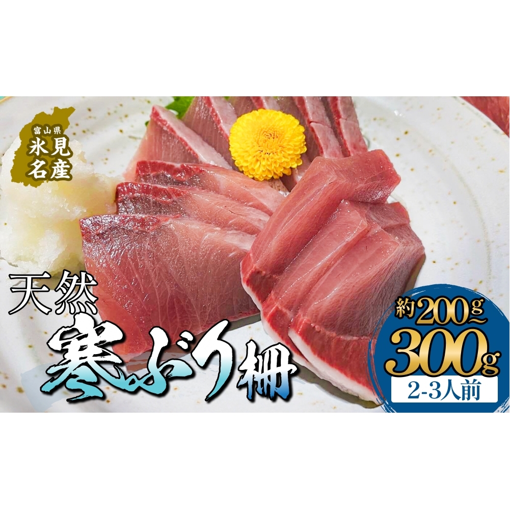 【先行予約】 氷見産 天然寒ぶり 柵 2-3人前 約200g-300g 【2025年11月中旬以降順次発送】 釣屋魚問屋直営 ひみ岸壁市場 富山県 氷見 氷見漁港 能登 寒ブリ 天然鰤 サク ひみ岸壁