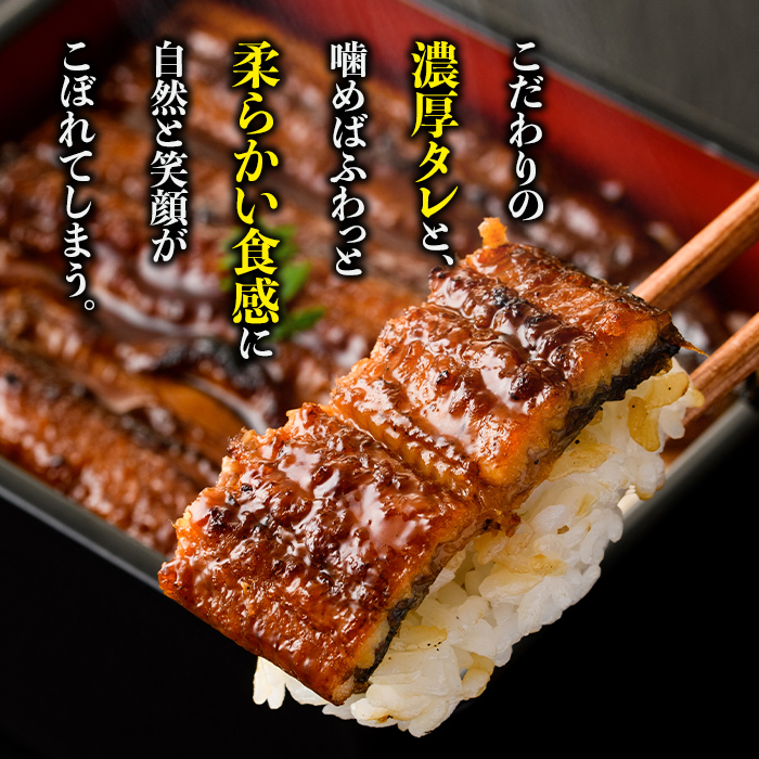 s644 【隔月・定期便6回】鹿児島県産 鰻蒲焼真空3尾セット！(計約2.52kg・約140g×3尾×6回) 鹿児島 九州産 国産 うなぎ ウナギ 鰻 土用の丑の日 蒲焼き うな重 ひつまぶし 定期便