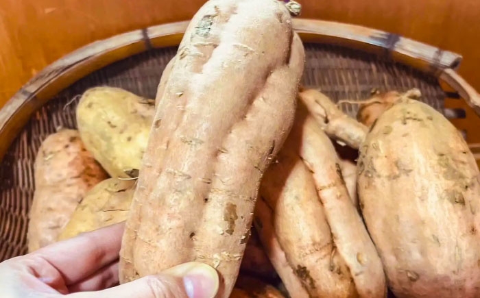 さつまいも サツマイモ さつま芋 焼き芋 やきいも スイーツ 甘い とろとろ 薩摩芋 デザート 甘芋 スイートポテト 芋 イモ