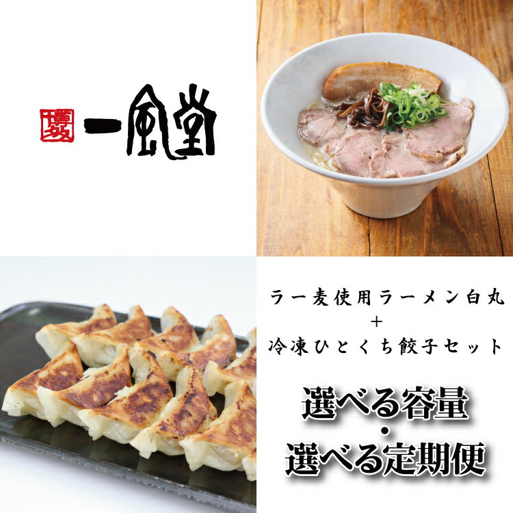 【ふるさと納税】【一風堂】白丸ラー麦麺とひとくち餃子セット（選べる容量）