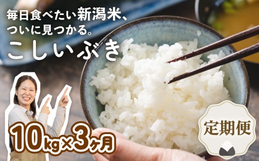 毎月決まった日に届く！【定期便】 令和7年産 新潟産こしいぶき 10㎏×3か月 新潟県 新潟産 新潟米 新発田産 新発田 お米 米 こしいぶき とんとん市場 せいだ 5kg 10kg 30kg 3か月 定期便 数量限定 玄米 とんとん市場のお米 D59_04