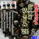 【ふるさと納税】宍道湖産しじみ2Lサイズ2kg(生鮮・砂抜済・活しじみ)鮮度抜群でお送りする・貴重な特大粒！ 島根県松江市/有限会社藤本米穀店[ALCG009]