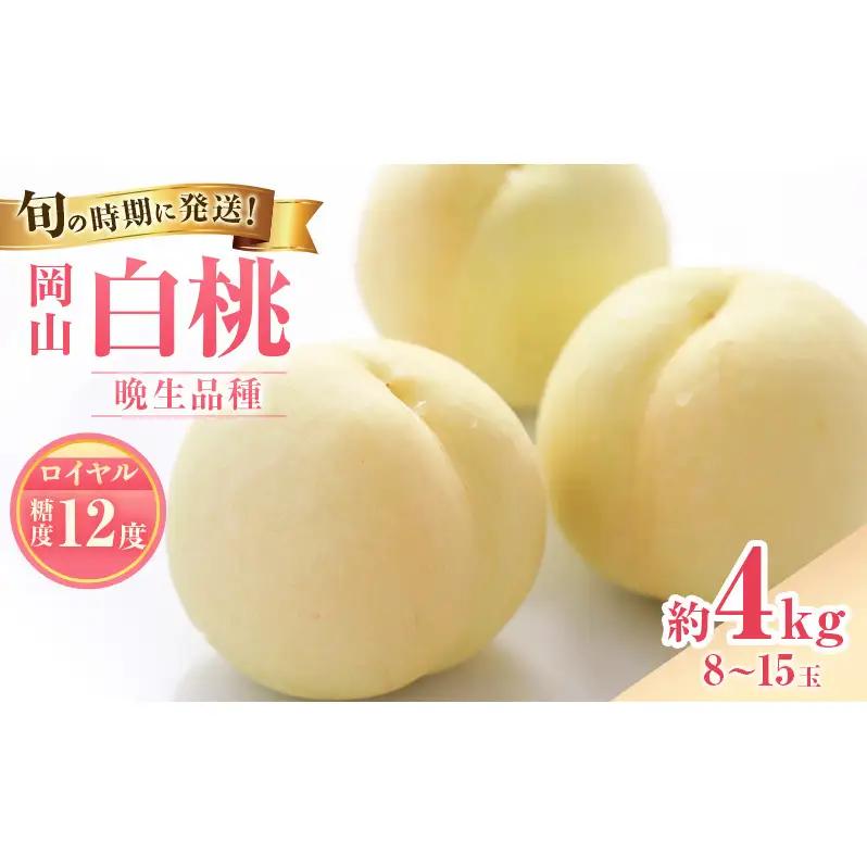 白桃 特秀ロイヤル 大玉 晩生 岡山県産 白桃【約4kg 8～15玉】【先行予約】