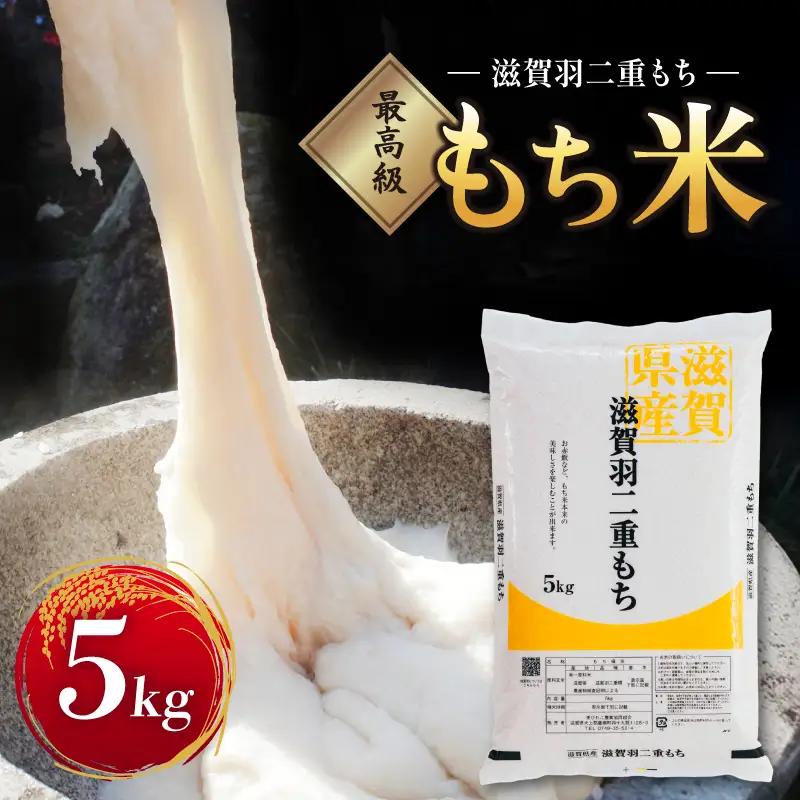 もち米 5kg 滋賀羽二重もち 餅 糯