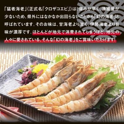 ふるさと納税 鳥取市 猛者海老 15匹×2パックセット【山根商店】 |  | 01